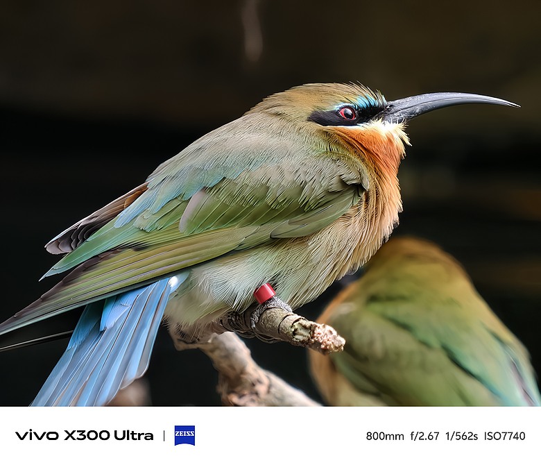 vivo X300 Ultra 評測報告｜不僅效能封頂、更是影像超旗艦！