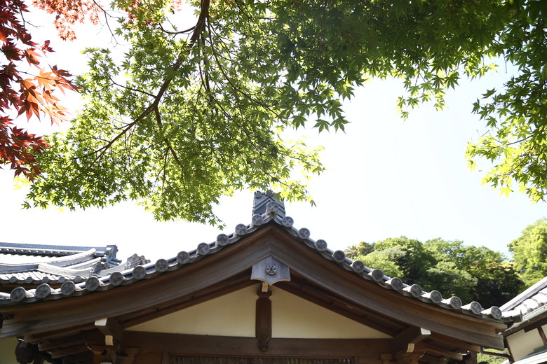 [關東] そうだ、鎌倉、横浜、箱根へ行こう。