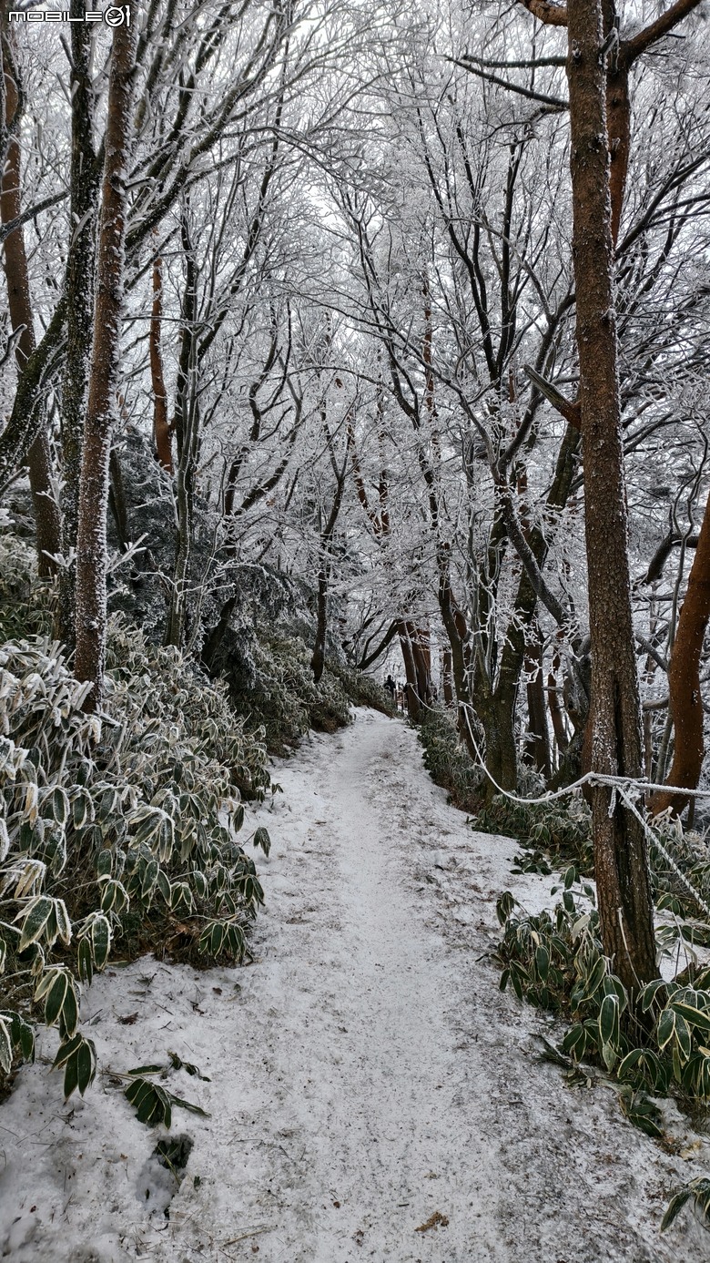 南韓最高峰 | 白雪漢拏山 |濟州島登山行程
