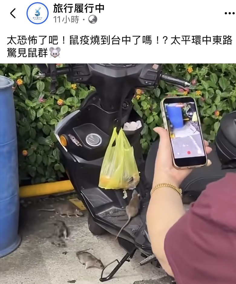 ❤️❤️「南鼠北運」算什麼‼️AI鼠 嚇死你‼️