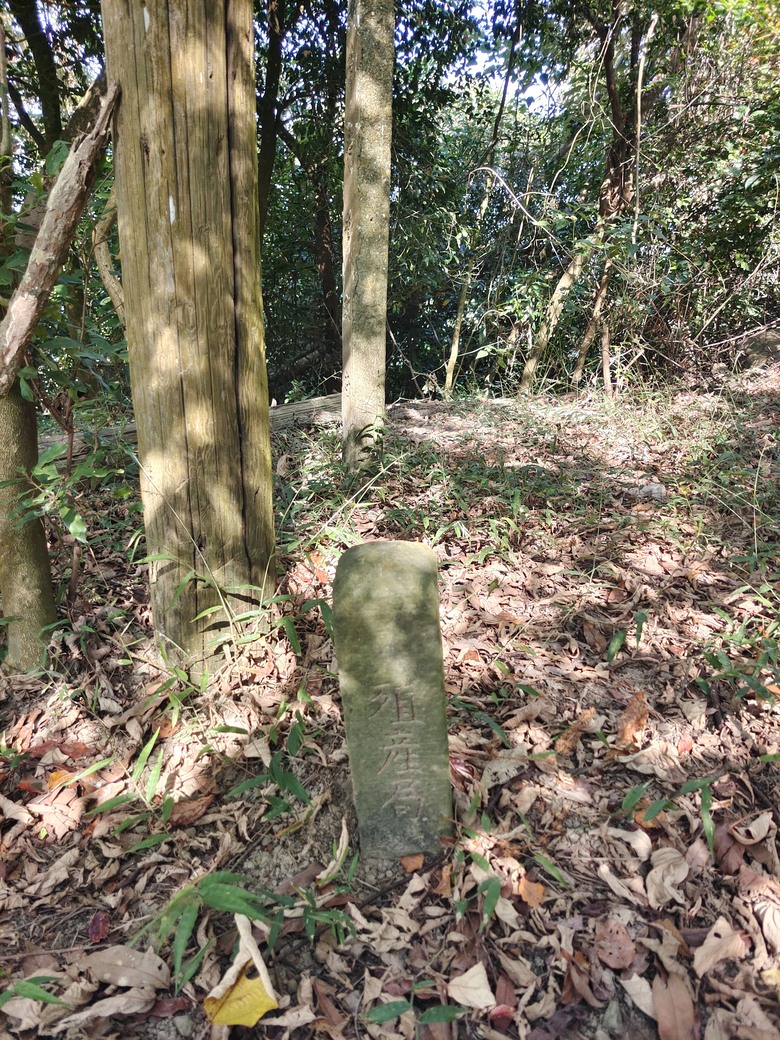 大野狼穿越環島(二)-六龜-杉林經典穿越