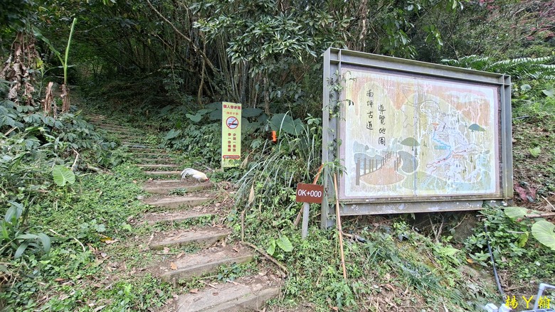 【郊山走走】馬胎古道、馬胎二期古道、南坪古道 山林輕鬆健行