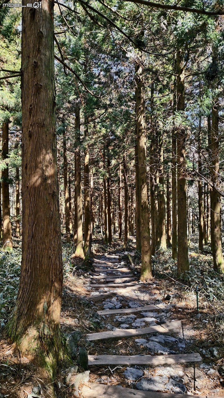 南韓最高峰 | 白雪漢拏山 |濟州島登山行程