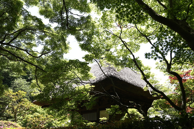 [關東] そうだ、鎌倉、横浜、箱根へ行こう。