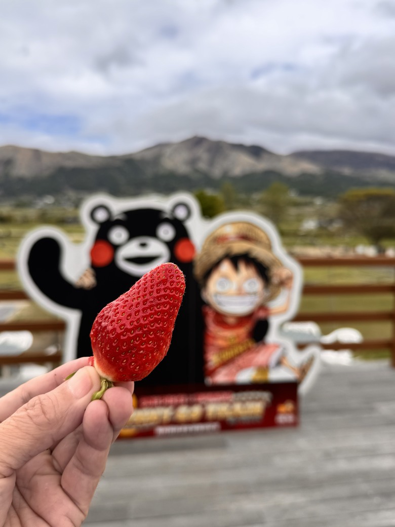 九州三山快閃：祖母山、阿蘇高岳、久住山