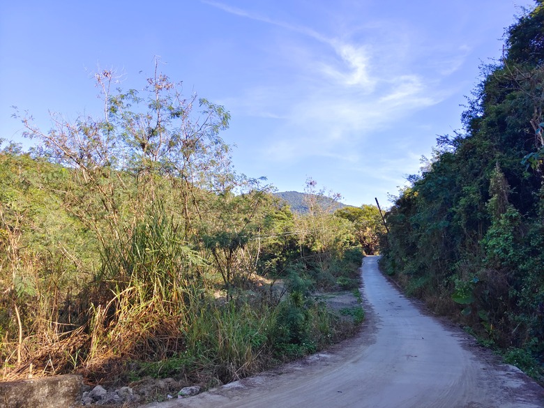 大野狼穿越環島(二)-六龜-杉林經典穿越