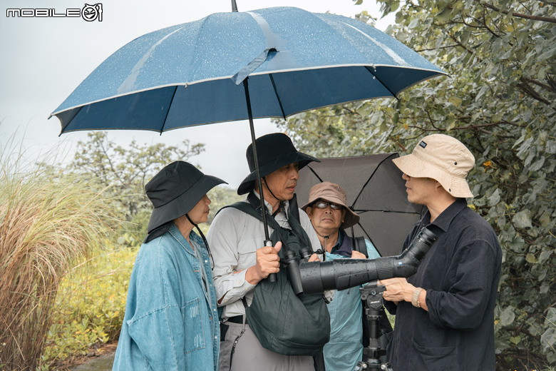 煙雨濛濛的驚豔之美:與海外歸國友人的挖仔尾賞鳥活動 SFL 50