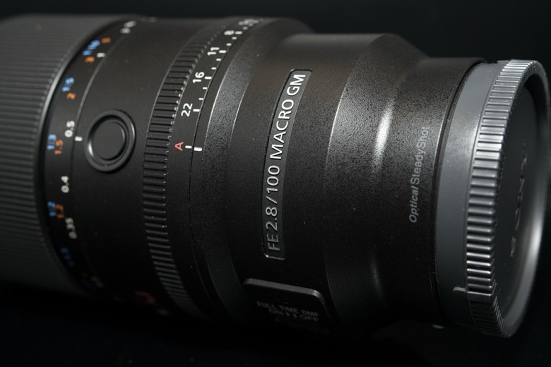 [初體驗] Sony FE 100mm f/2.8 Macro GM OSS