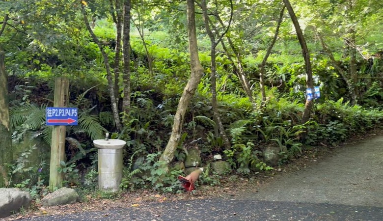 【谷關七雄】等到了！絕美瀑布「蝴蝶谷」步道重新開放！順登唐麻丹山全紀錄！