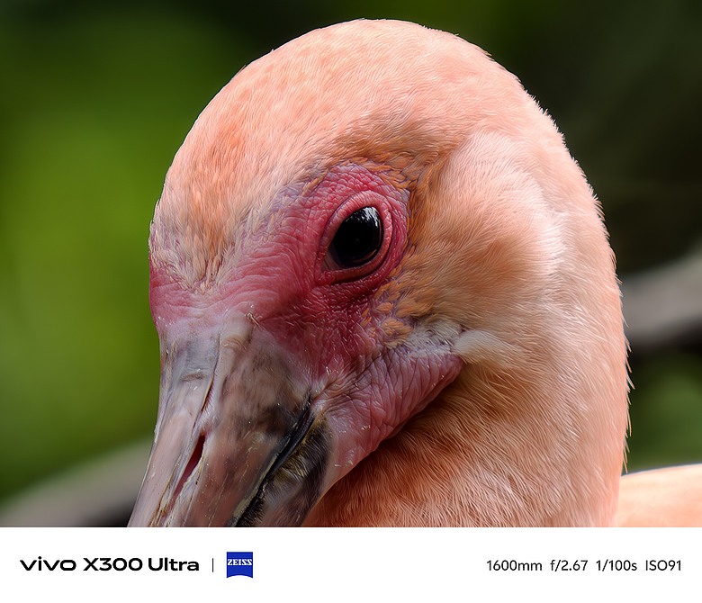 vivo X300 Ultra 評測報告｜不僅效能封頂、更是影像超旗艦！