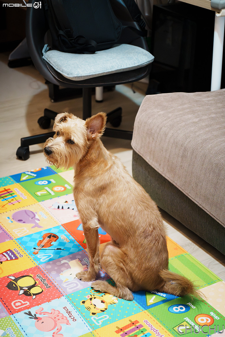 點我看大圖 Sony A7M4 與 Contax Vario-Sonnar T* 3.5-4.5/28-70 MMJ