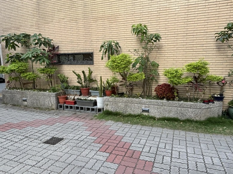 休假時就是搞東搞西搞園藝