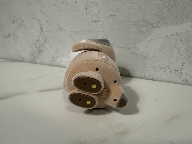 點我看大圖 【小宅開箱】2 歲小孩的新室友!SHARP 小獴友 Poketomo 口袋陪伴機器人開箱領養