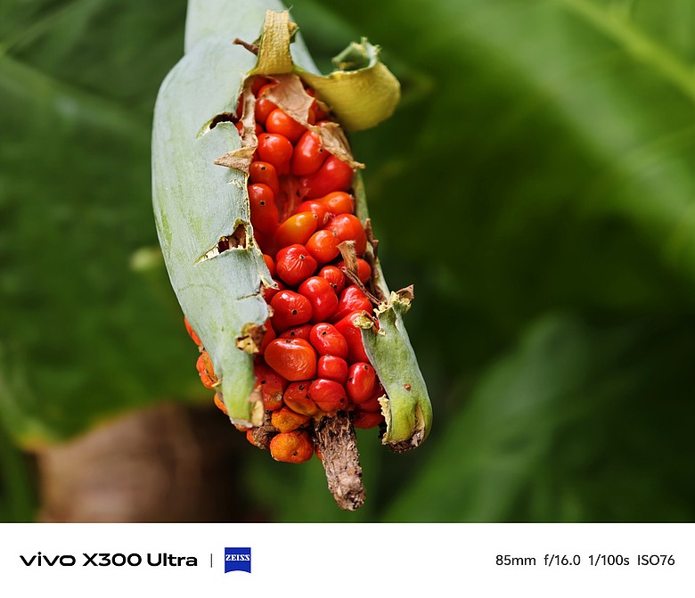 vivo X300 Ultra 評測報告｜不僅效能封頂、更是影像超旗艦！