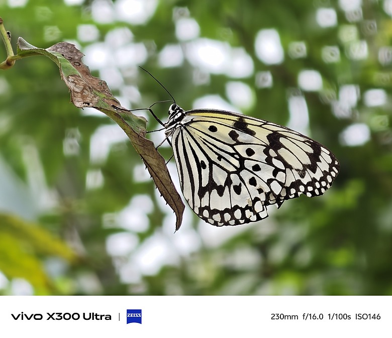 vivo X300 Ultra 評測報告｜不僅效能封頂、更是影像超旗艦！