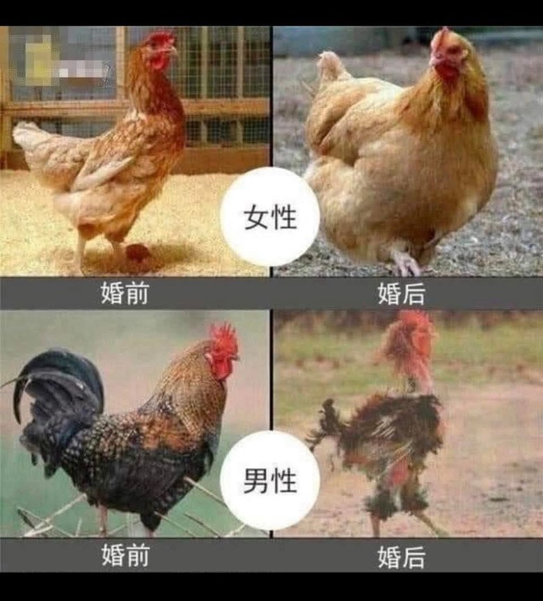 😄~百無禁忌聊天樓~📷🏍⚾️🍩☕️
