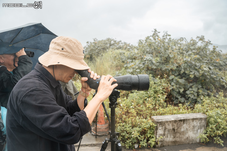 煙雨濛濛的驚豔之美:與海外歸國友人的挖仔尾賞鳥活動 SFL 50