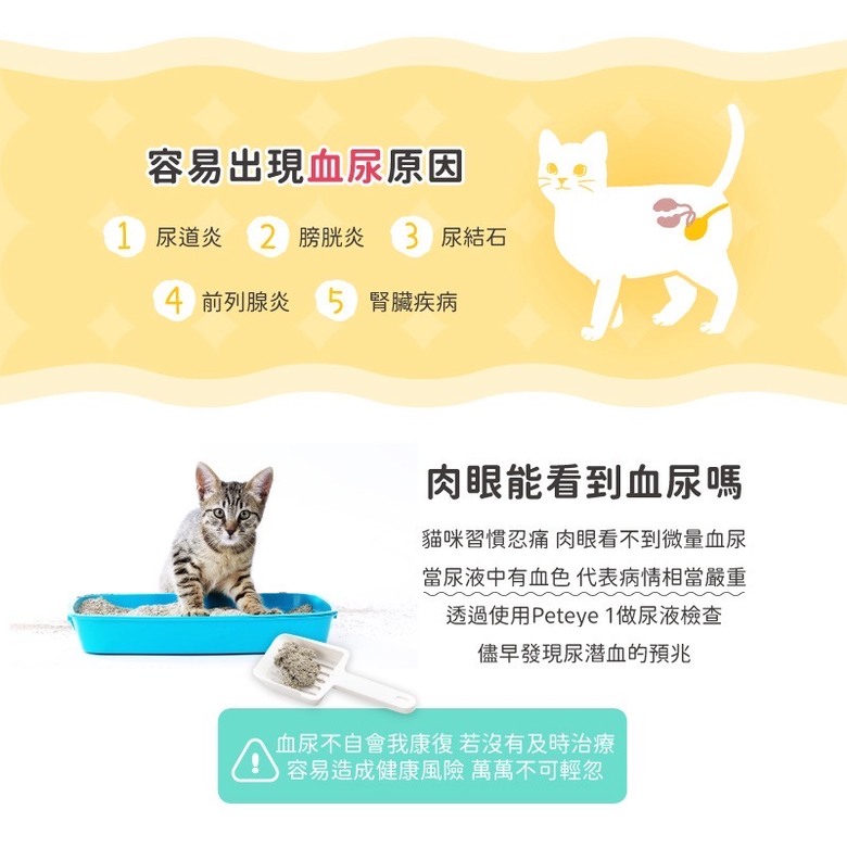 喵星人的心裡話