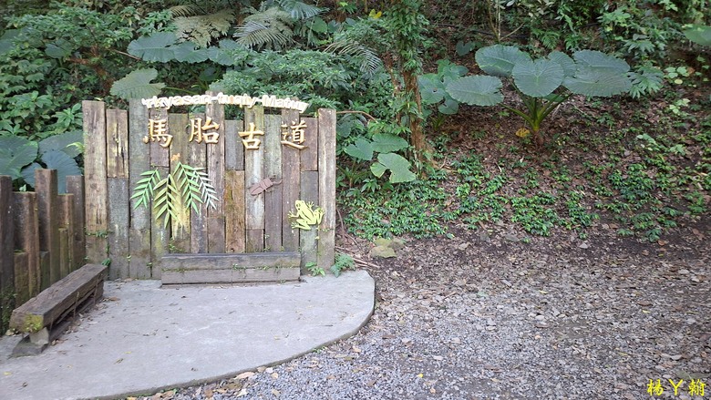 【郊山走走】馬胎古道、馬胎二期古道、南坪古道 山林輕鬆健行