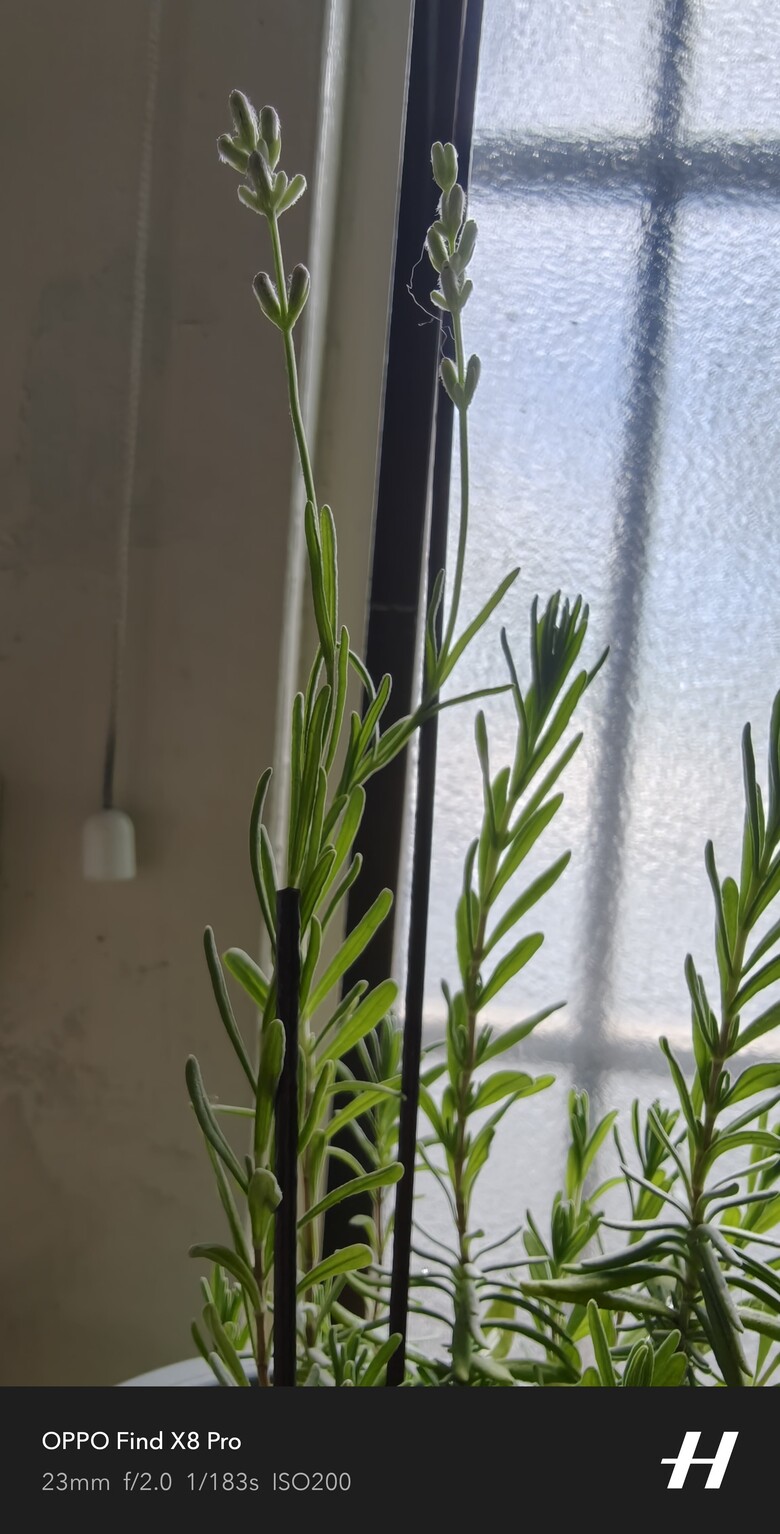 點我看大圖