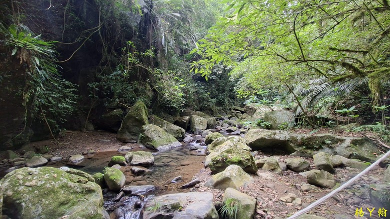 【郊山走走】馬胎古道、馬胎二期古道、南坪古道 山林輕鬆健行