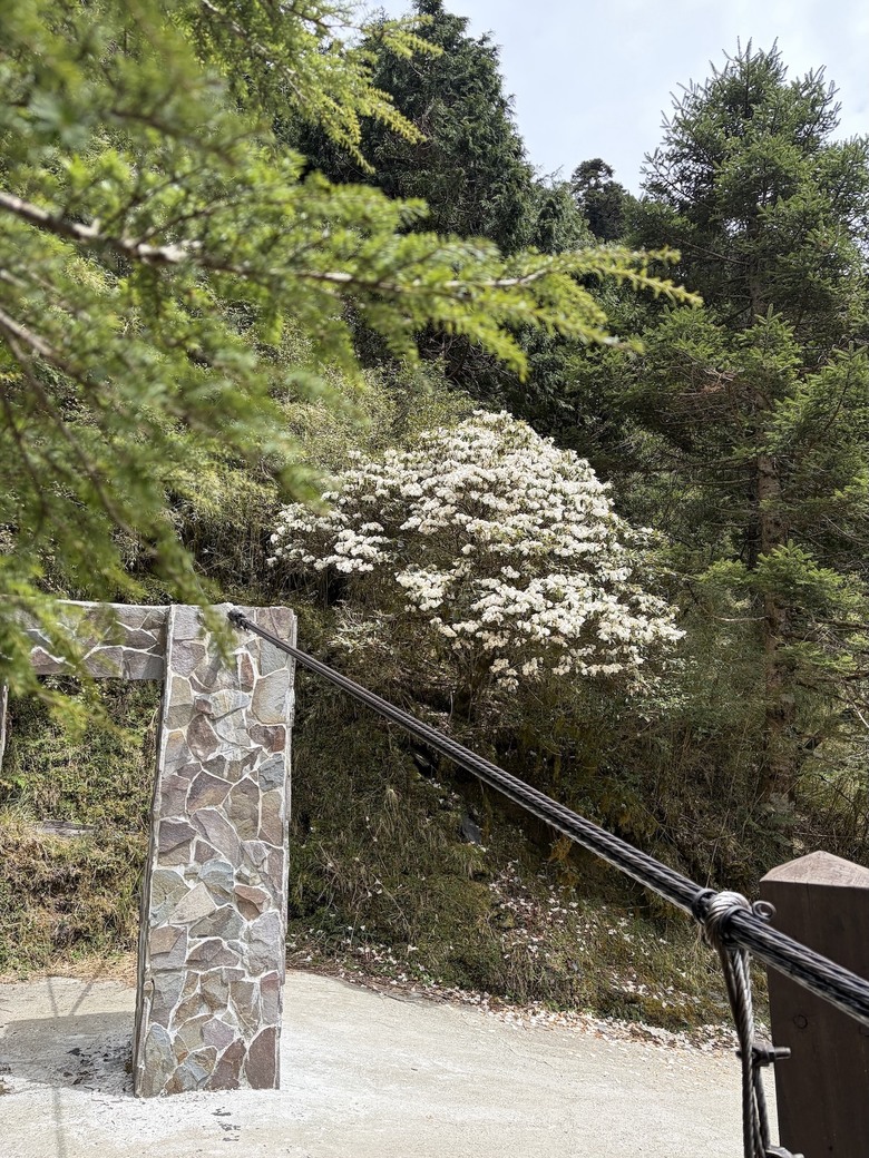 能高越嶺西段之美 ⛰️