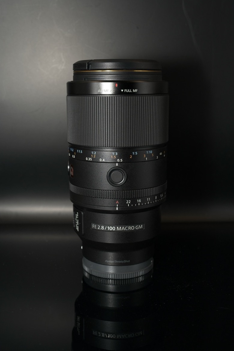 [初體驗] Sony FE 100mm f/2.8 Macro GM OSS