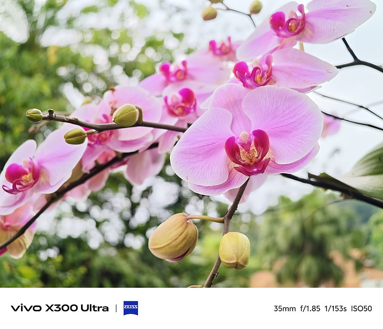 vivo X300 Ultra 評測報告｜不僅效能封頂、更是影像超旗艦！