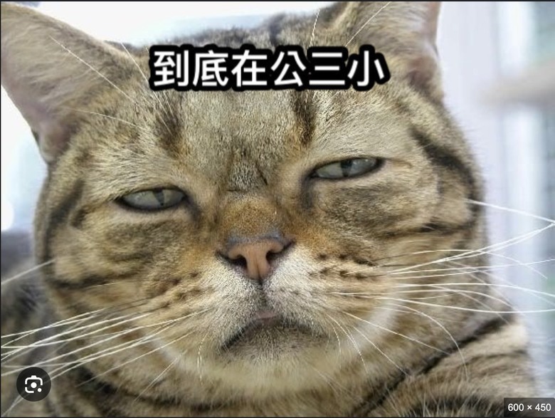 😄~百無禁忌聊天樓~📷🏍⚾️🍩☕️