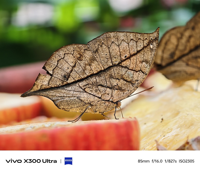 vivo X300 Ultra 評測報告｜不僅效能封頂、更是影像超旗艦！
