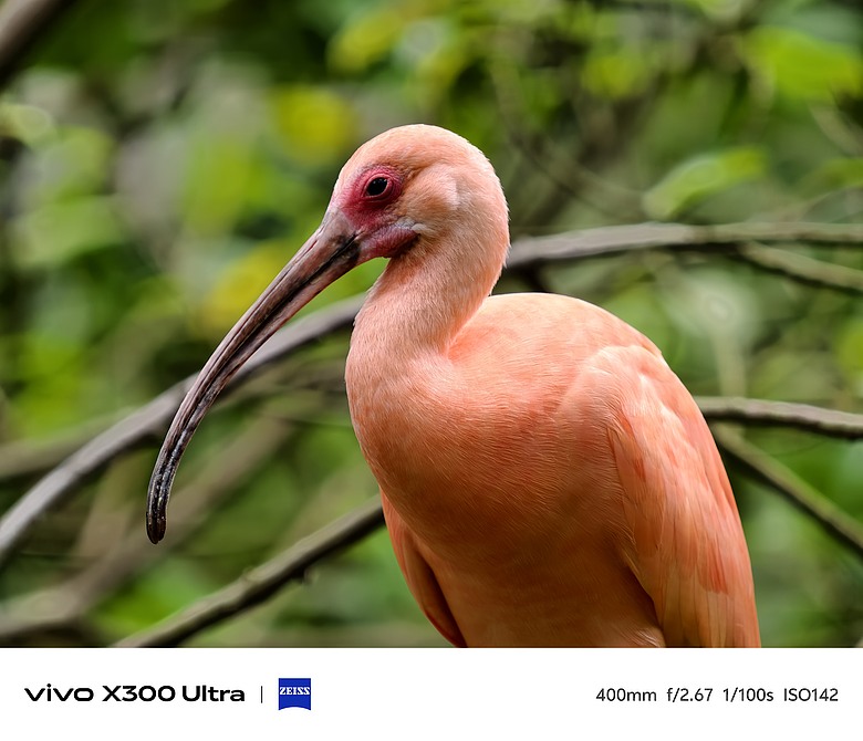 vivo X300 Ultra 評測報告｜不僅效能封頂、更是影像超旗艦！