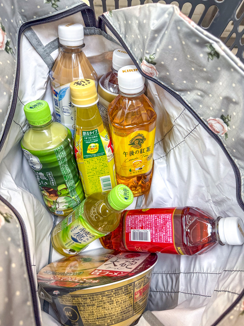 九州鐵道紀行：雙鐵與溫泉的邂逅 上篇