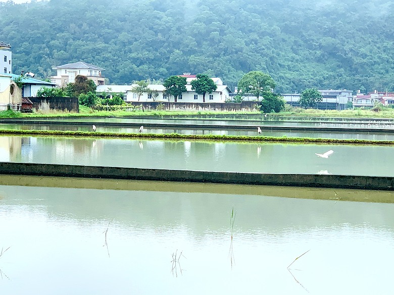 ＜宜蘭＞兩天一夜小旅行～光宅咖啡廳、入住捷絲旅、橘之鄉蜜餞形象館、蘭陽動植物王國