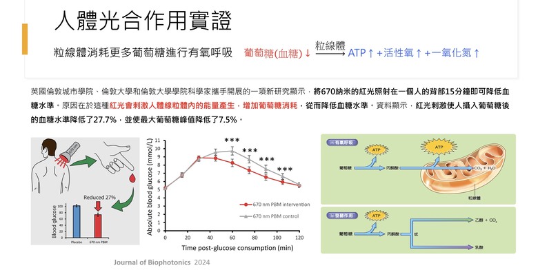 與高血糖問題和平共處