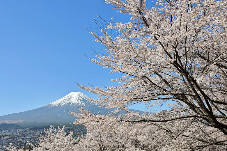 帶著小米14u去旅行_富士山下的雙湖慢旅