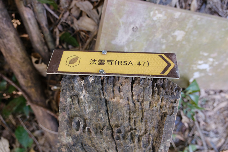 點我看大圖 【樟之細路出雲古道】一條記載著先民在此生活的故事以及開礦的悠悠歷史