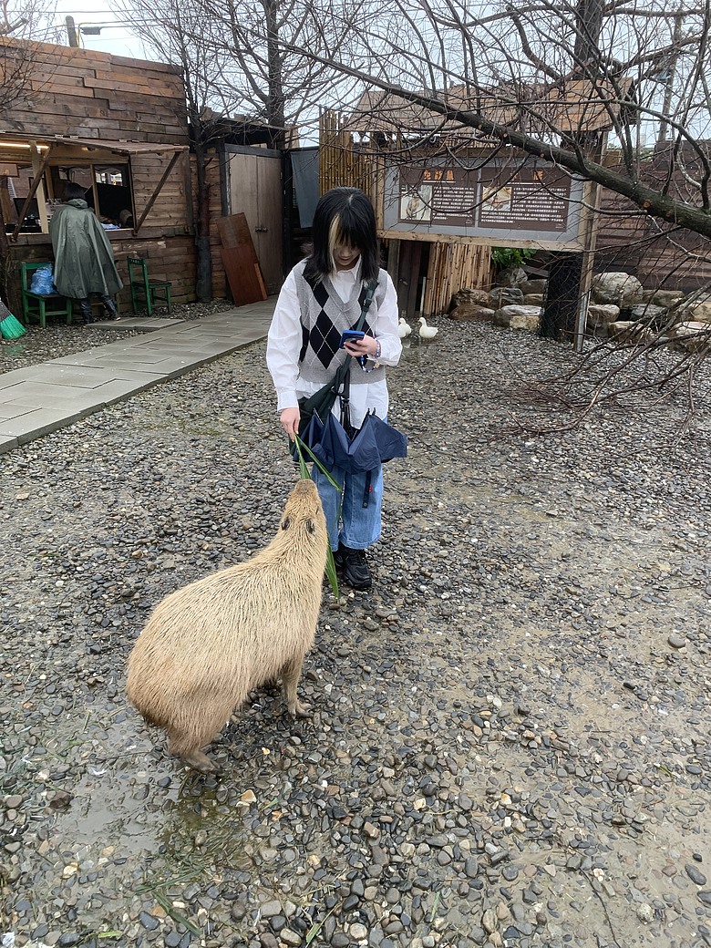 ＜宜蘭＞兩天一夜小旅行～光宅咖啡廳、入住捷絲旅、橘之鄉蜜餞形象館、蘭陽動植物王國
