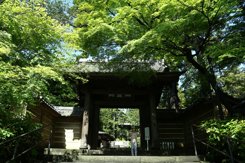 [關東] そうだ、鎌倉、横浜、箱根へ行こう。