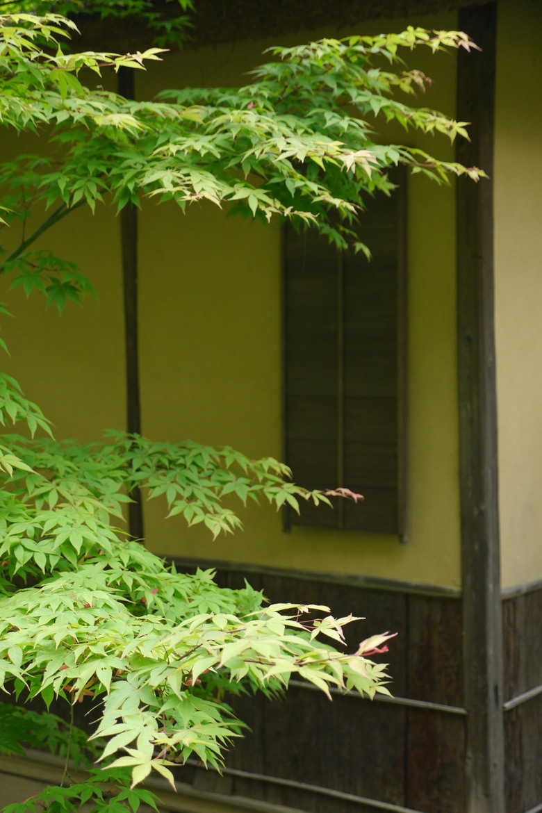 對日本古建築有興趣的可以來看看 冷門點橫濱三溪園