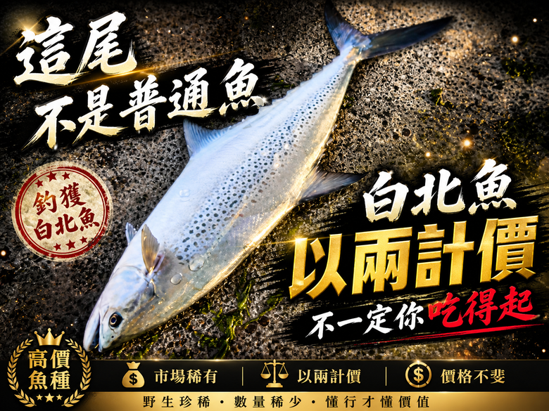 黃金級的魚種是土魠.鑽石級白北魚的你有見過嗎?教你活蝦四大絕招鈎法