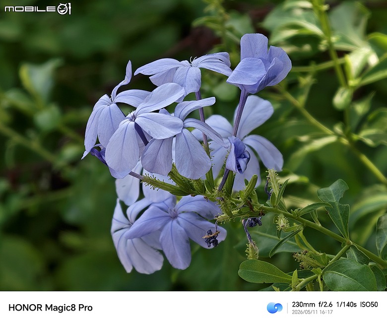 HONOR Magic8 Pro 體驗｜AI 魔法初登台，高 CP 值旗艦新勢力！