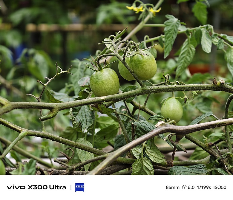 vivo X300 Ultra 評測報告｜不僅效能封頂、更是影像超旗艦！