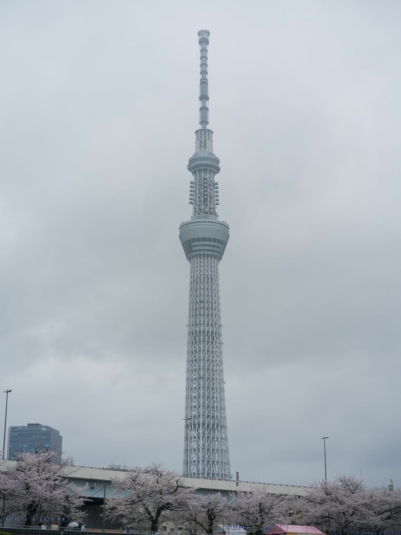 東京9天8夜