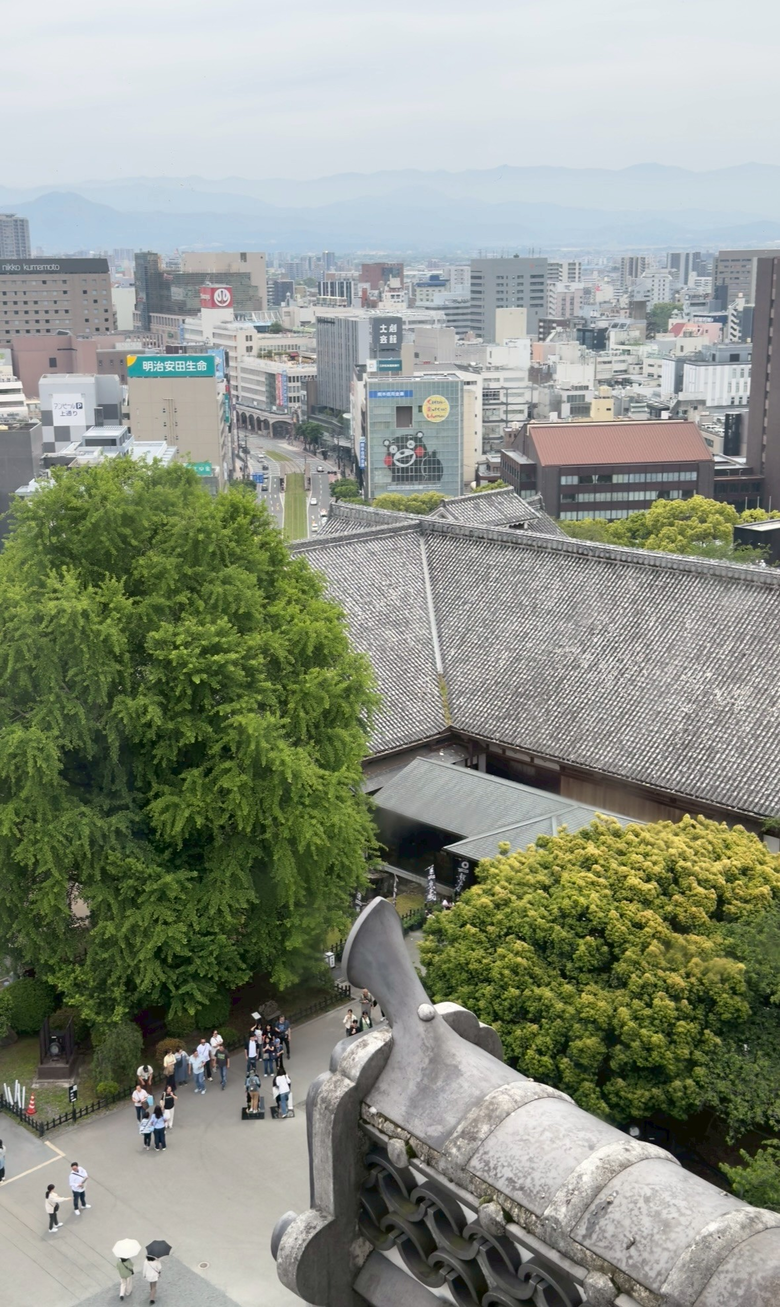 北九州之旅 -福岡篇｜ 別府、阿蘇、熊本城，好吃好玩超滿足