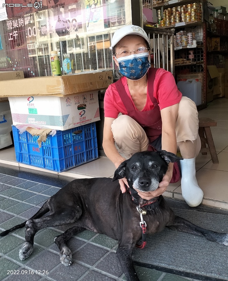 點我看大圖 黑龍在天~緬懷天堂的阿龍、小黑