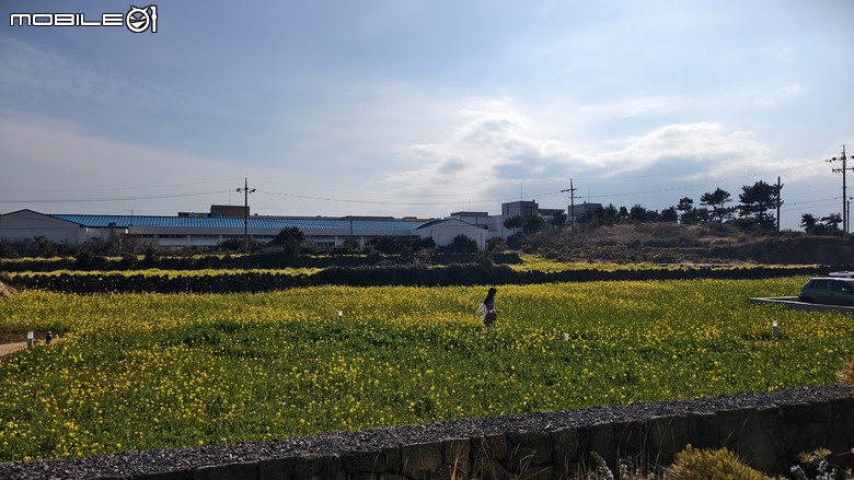 第一次的海外摩托車旅遊 | 濟州島 | 偉士牌機車環島