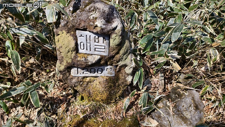 南韓最高峰 | 白雪漢拏山 |濟州島登山行程