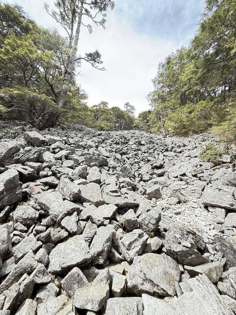 2026百岳-品田山、池有山、桃山、喀拉業山｜讀萬卷書不如行萬里路