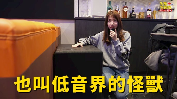 天逸 6000D 15吋超低音 KTV 家庭劇院重低音