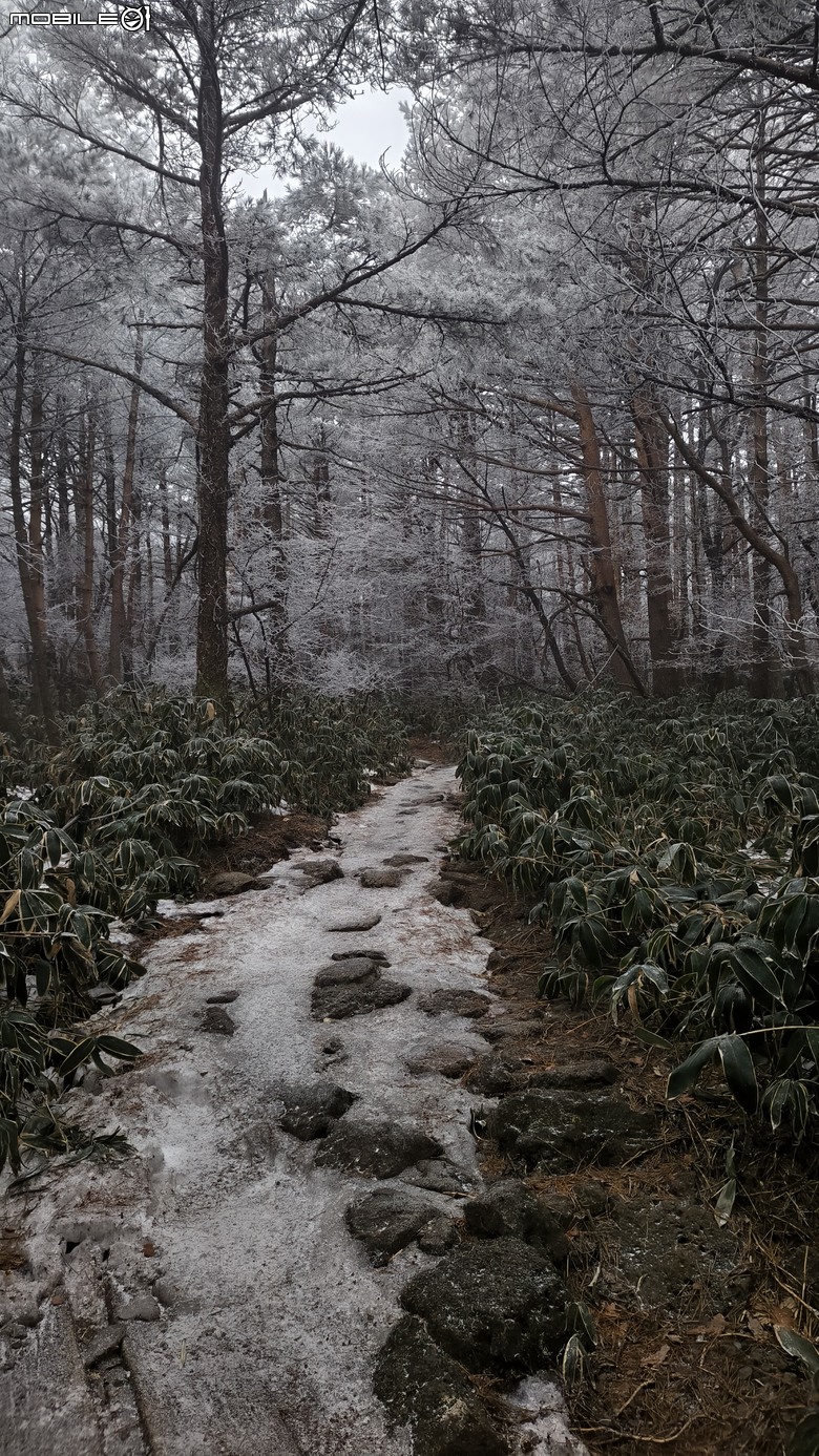 南韓最高峰 | 白雪漢拏山 |濟州島登山行程
